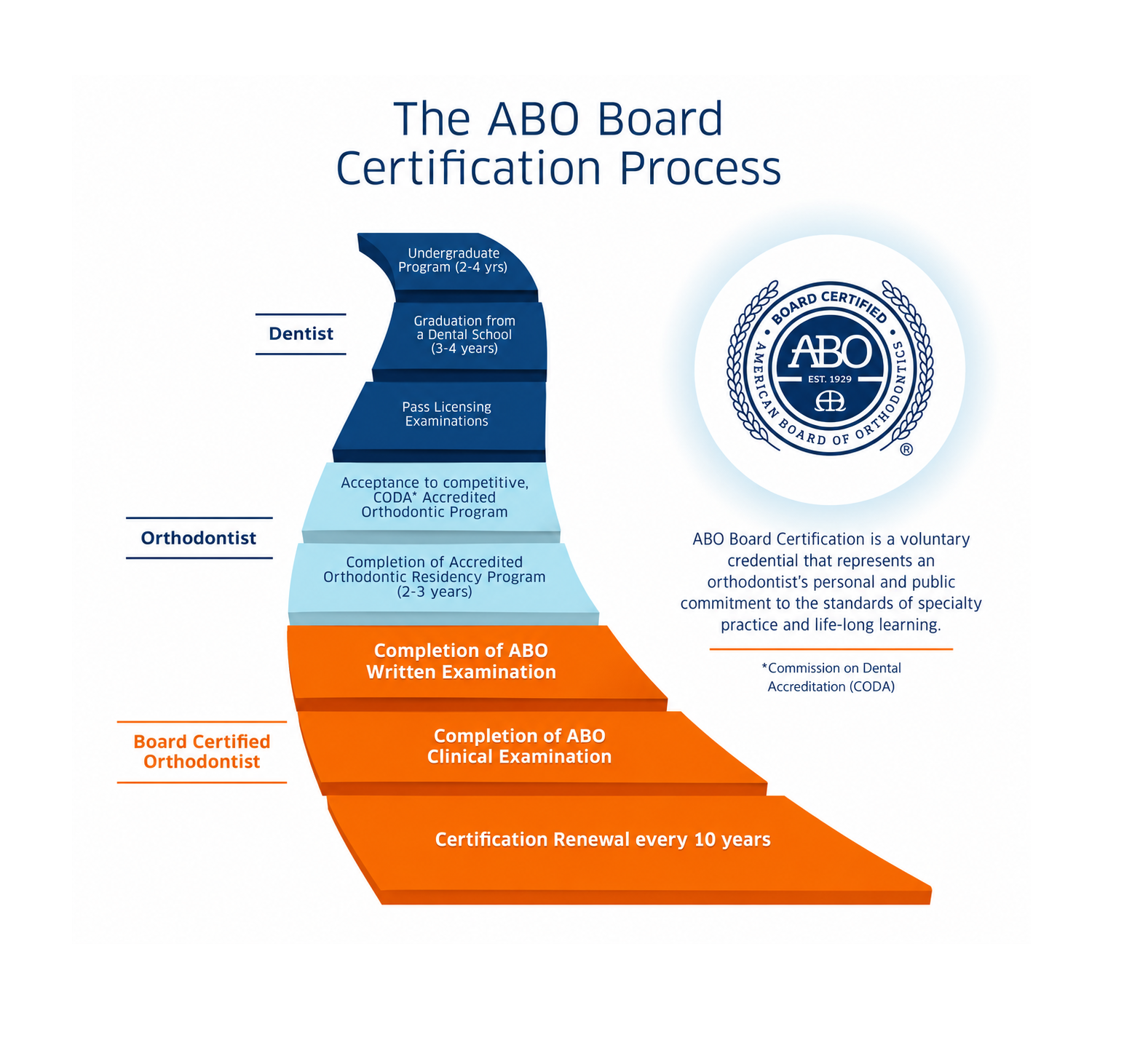 Board certified orthodontist providing expert care to patients